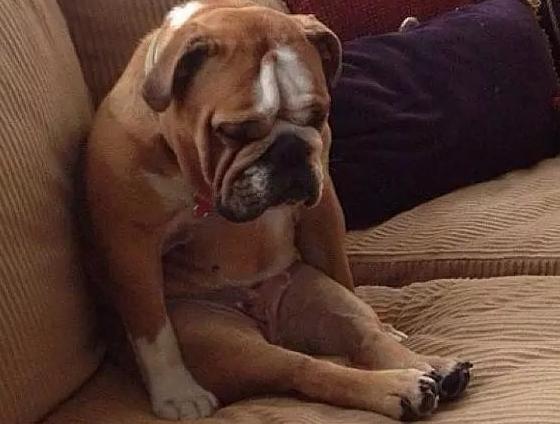 如何道歉才能顯得態(tài)度誠懇？