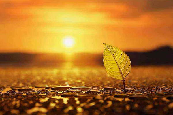 人與人最好的關(guān)系就是相處不累