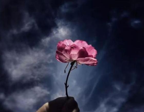 為什么成熟的人都喜歡獨(dú)處？
