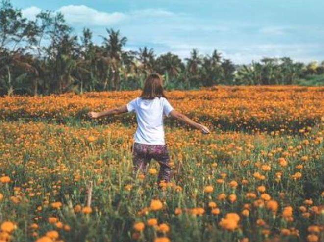 關(guān)于幸福生活的十個(gè)建議