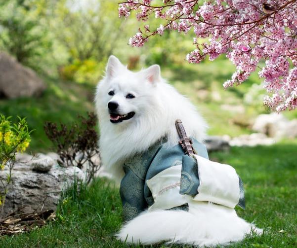 疫情下帶給我們的25條生活啟示 疫情下帶給我們的25條生活啟示