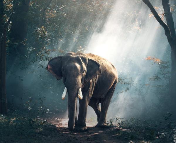 疫情下帶給我們的25條生活啟示 疫情下帶給我們的25條生活啟示