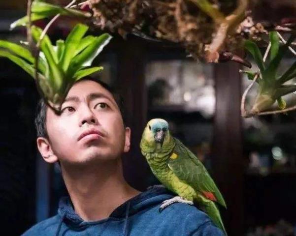 大男人喜歡養(yǎng)花到底是什么心態(tài)？