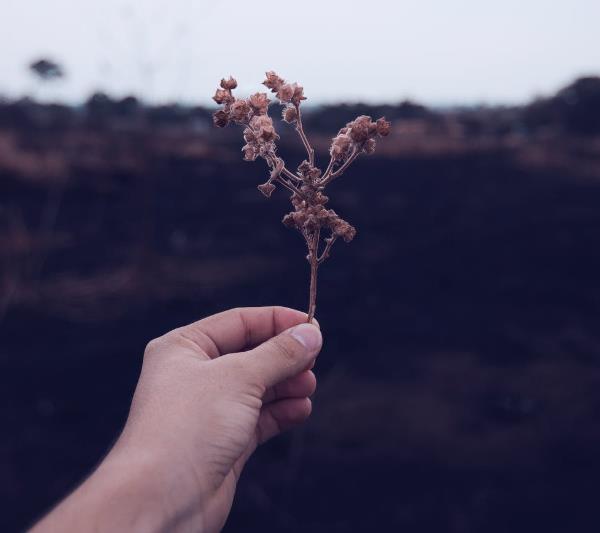 為什么說性格決定命運，是真的嗎？