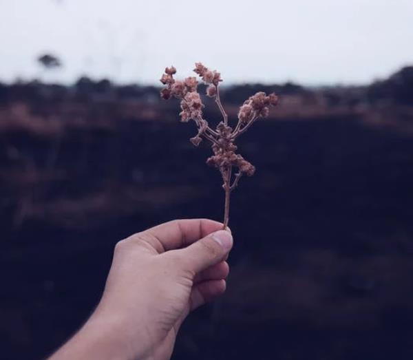 人應(yīng)該學(xué)會正視生死