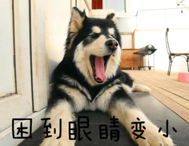 什么時(shí)刻你開始服老了？