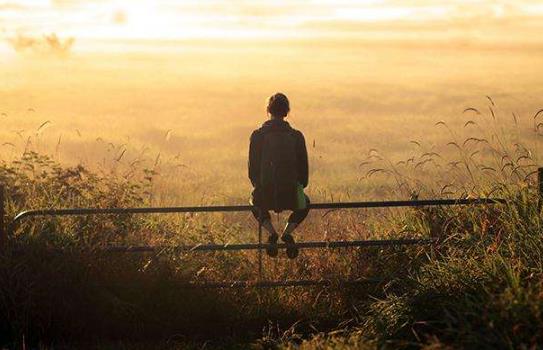 不成熟的防御機(jī)制有哪些？