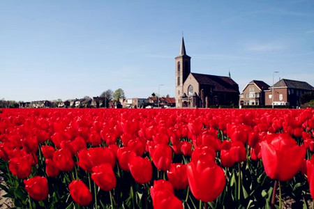 測(cè)試讓你迷戀的男生類(lèi)型