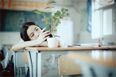測試校園中毒事件你會中槍嗎