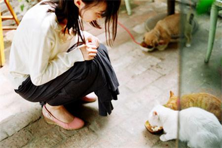 測試你的愛情有緣人 測試你的愛情有緣人