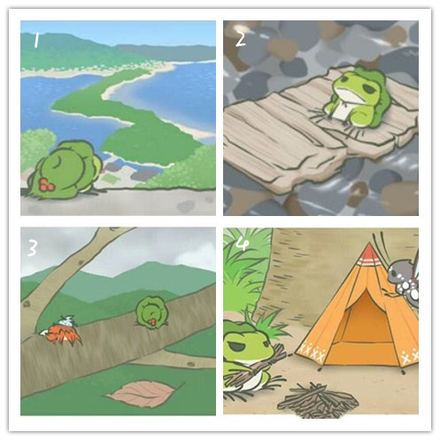 青蛙旅行，來測測你適合養(yǎng)什么類型的寵物？
