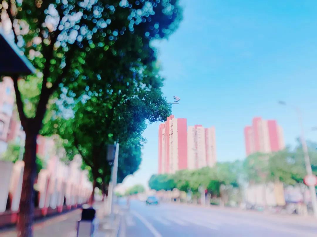 告別“認知虛胖” 放下焦慮和成見