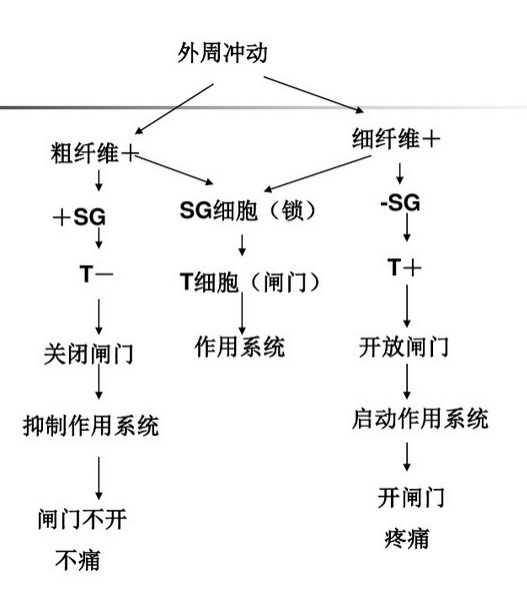疼痛心理學(xué) | 痛著痛著就好了？