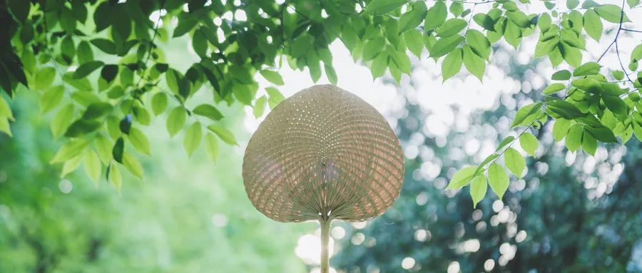 不要再學(xué)心理學(xué)了，你需要的是實實在在的生活