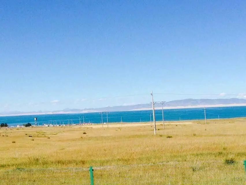 為什么得抑郁癥的人選擇離開的方式是靜靜的消失