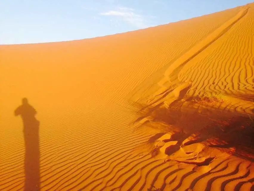 為什么得抑郁癥的人選擇離開的方式是靜靜的消失