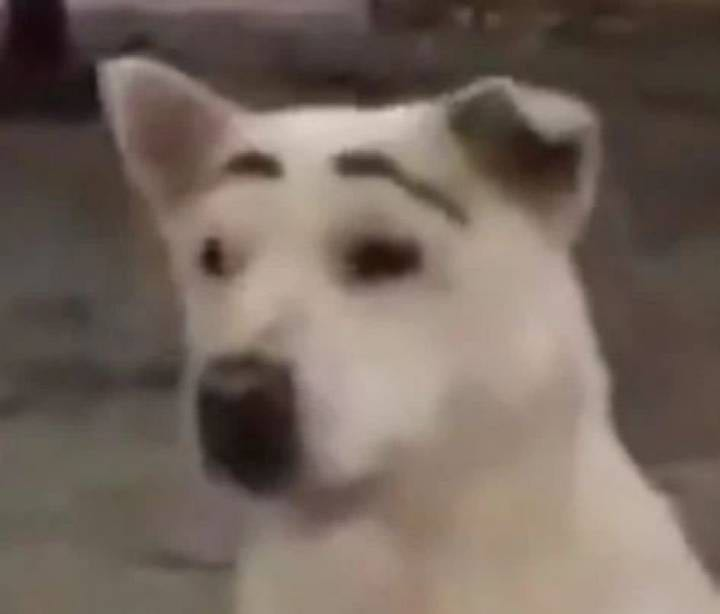 2021年當(dāng)代年輕人心理圖鑒，為什么他們不談戀愛了