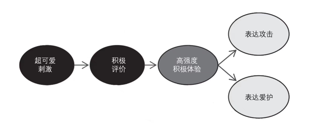 科學(xué)解讀《可愛(ài)攻擊》與情緒系統(tǒng)和獎(jiǎng)勵(lì)系統(tǒng)有關(guān)