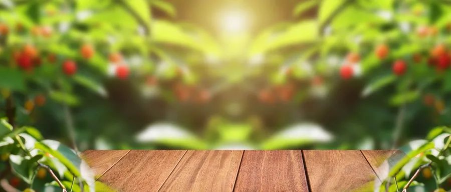 抑郁癥患者的執(zhí)念是如何形成的？