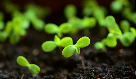 沙盤游戲，觸及到人性最深處感受的一種療愈方式