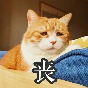 從小缺愛，如何提升愛人的能力？