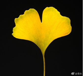 情緒、無意識(shí)、人格因素如何影響我們的身體