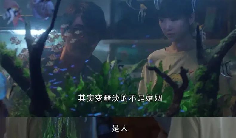 這樣的中年夫妻婚姻危機比出軌更可怕