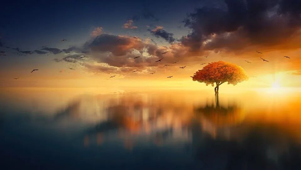 若不先解決自己的陰影，沒(méi)人能夠獲得自我認(rèn)識(shí)
