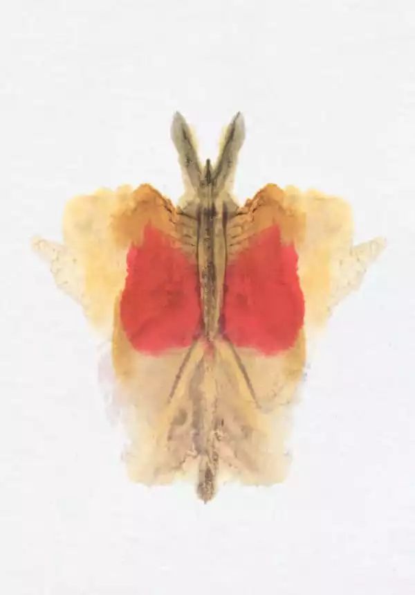心理學網紅「羅夏測驗」兩張圖投射出你的另一面