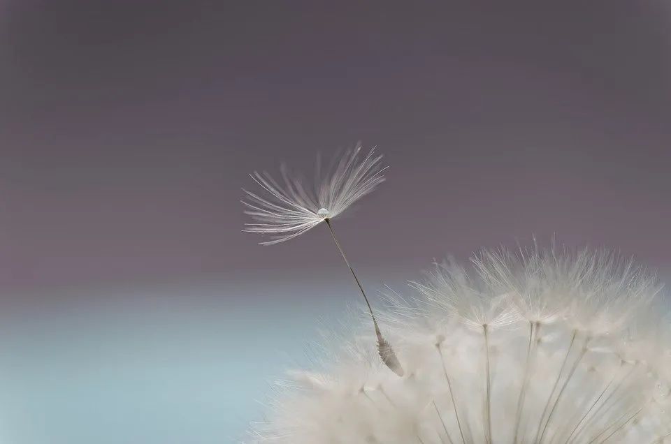 榮格當(dāng)年如何在臨床中運(yùn)用表達(dá)性藝術(shù)