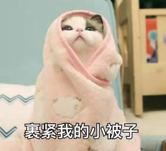 什么是阿倫規(guī)律和貝格曼規(guī)律？