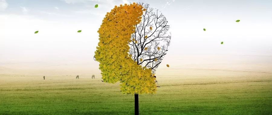 如何成為一名心理治療師 如何成為一名心理治療師