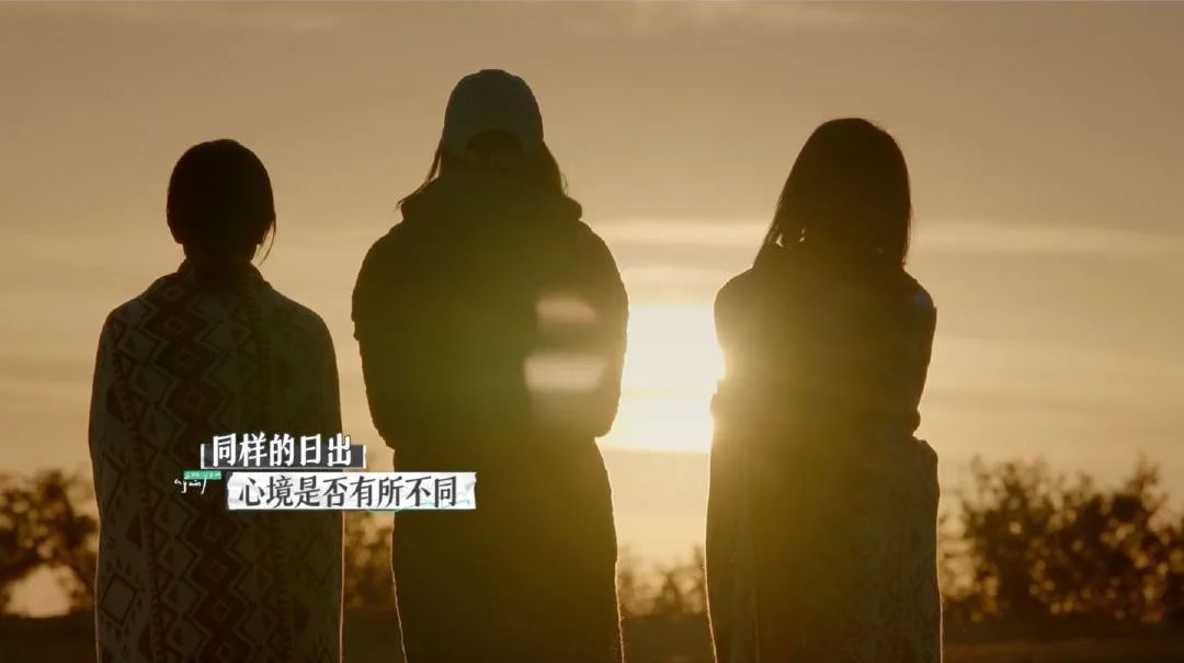 婚姻紀(jì)實觀察真人秀：王秋雨和朱雅瓊性格分析