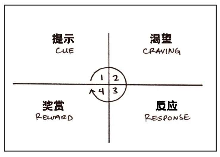 如何循序漸進地養(yǎng)成好習(xí)慣