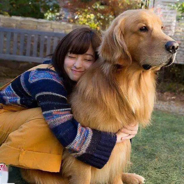 狗狗分離焦慮很嚴重怎么辦？