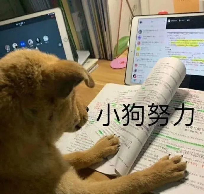 心理測(cè)試是這么做到測(cè)量人心的？