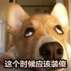 信息回避是什么意思？