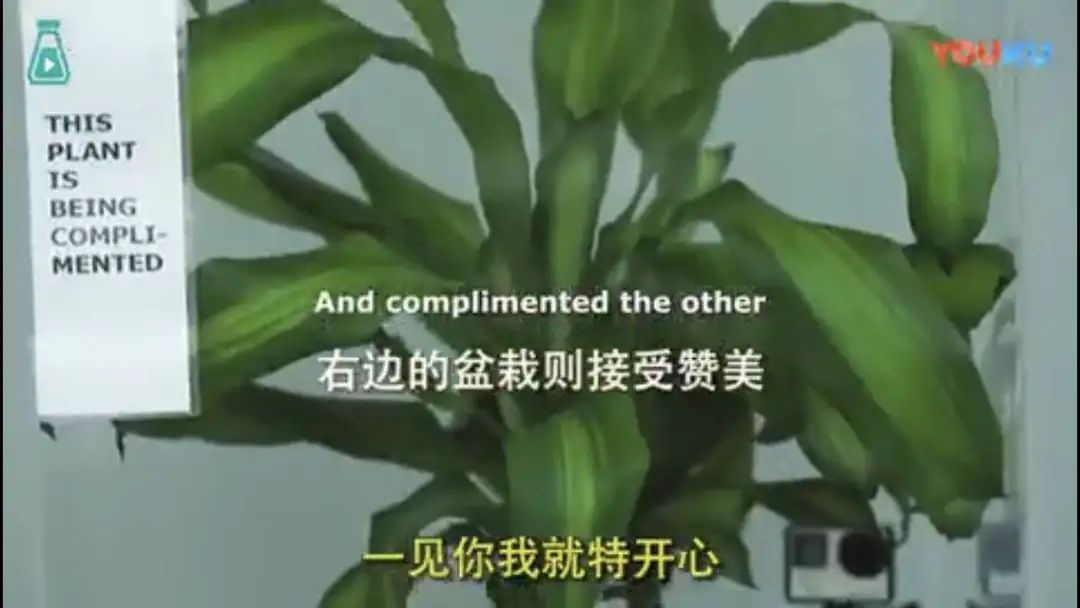 性格真的會影響命運嗎？