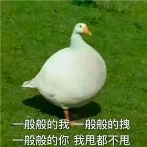聽了一位心理咨詢師的話，我整個(gè)人都好了