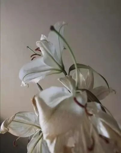 居家隔離期間如何保持良好的心態(tài)？