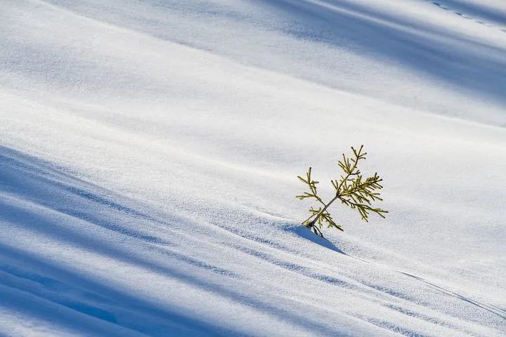 九型人格是如何支持我們實現(xiàn)關系改善的？
