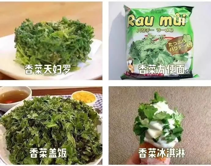 世界討厭香菜日是幾號？