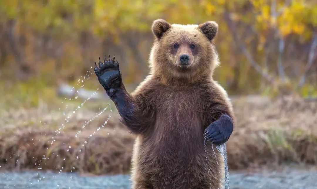 如何緩解精神壓力和焦慮？