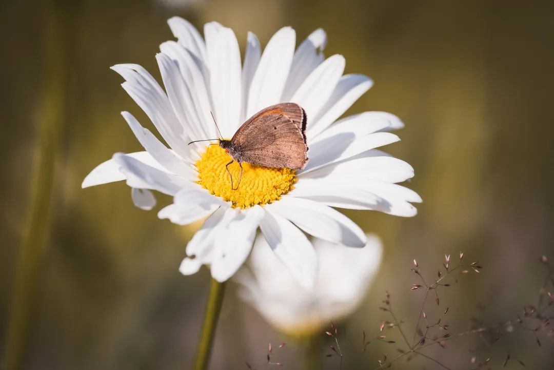 從依賴共生到邊界，看到真實的自己