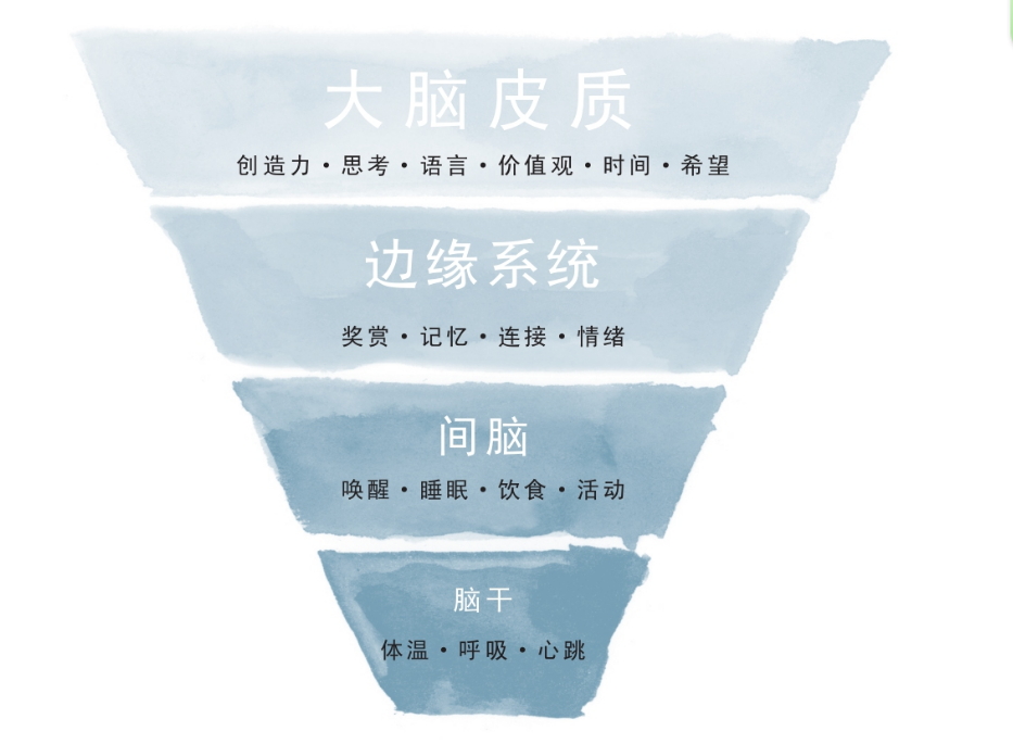 從創(chuàng)傷到療愈、創(chuàng)傷后哪些人容易出現(xiàn)心理問題