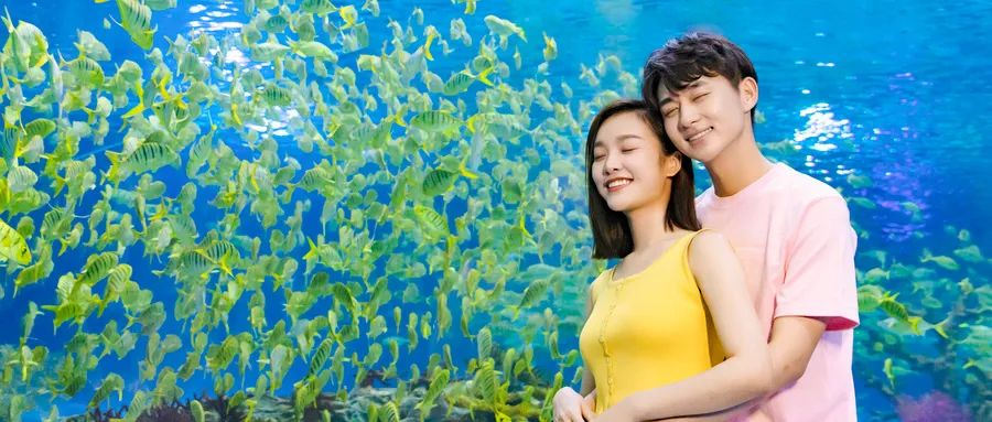 關(guān)于愛(ài)情，你必須知道的幾件事