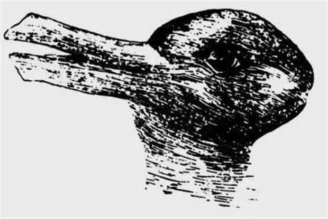 為什么說分享欲是最高級的浪漫