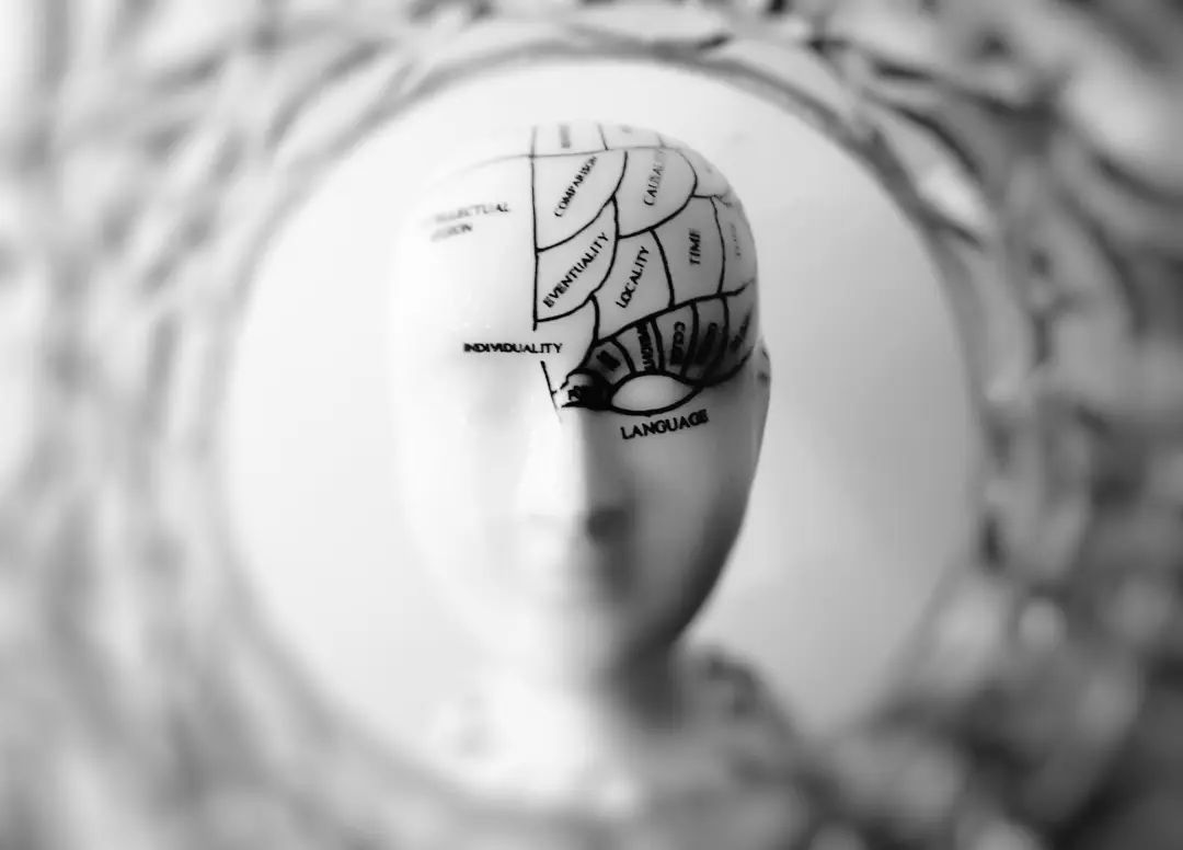 逆齡大腦：年紀輕輕，就感覺自己變笨了？
