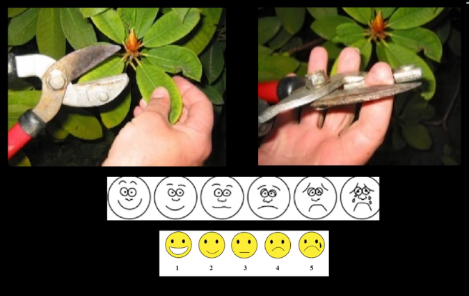 眼動(dòng)地形圖、早期鑒別孤獨(dú)癥孩子的重大發(fā)現(xiàn)