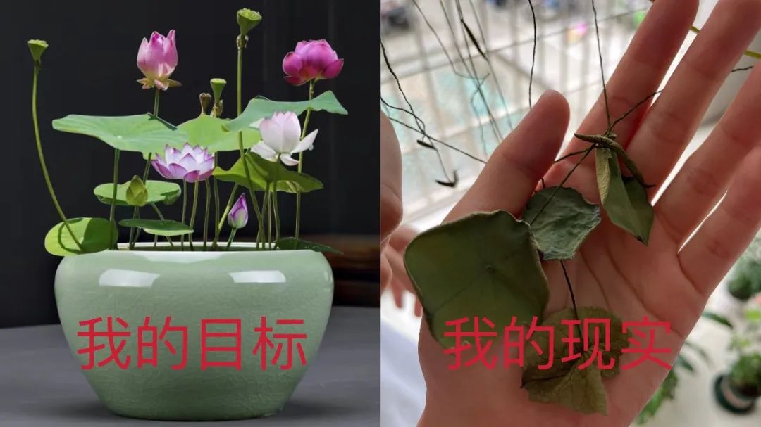 想退休的年輕人都在期待什么？